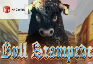 Bull Stampede