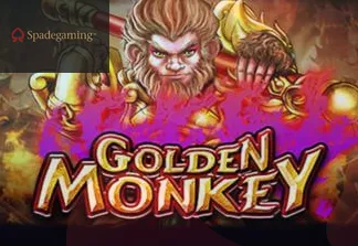 Golden Monkey