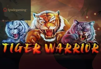 Tiger Warrior